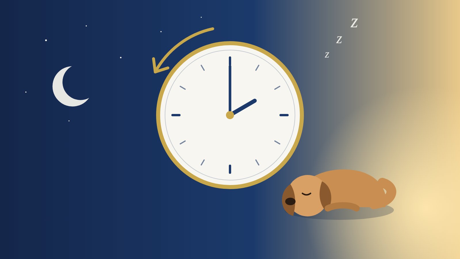 Illustration of a sleeping puppy beside a clock turning back an hour from 2 a.m. as night turns to dawn